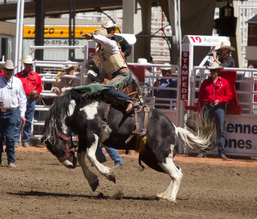 Calgary Stampede-1735.jpg